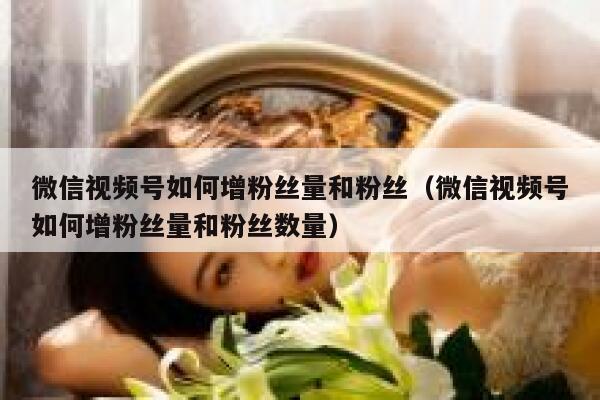 微信视频号如何增粉丝量和粉丝（微信视频号如何增粉丝量和粉丝数量） 第1张