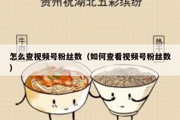 怎么查视频号粉丝数（如何查看视频号粉丝数） 第1张