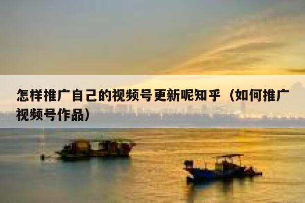 怎样推广自己的视频号更新呢知乎（如何推广视频号作品） 第1张