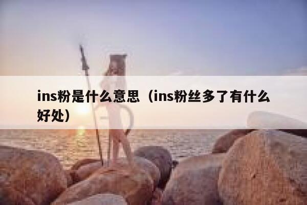 ins粉是什么意思（ins粉丝多了有什么好处） 第1张