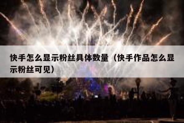 快手怎么显示粉丝具体数量（快手作品怎么显示粉丝可见） 第1张