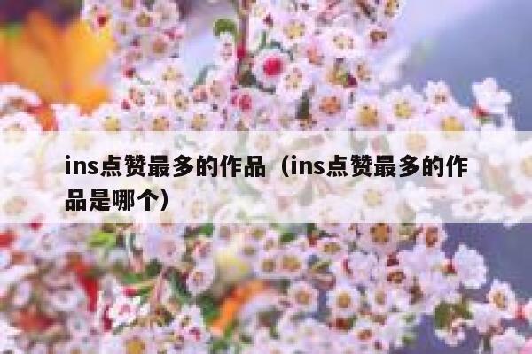 ins点赞最多的作品（ins点赞最多的作品是哪个） 第1张