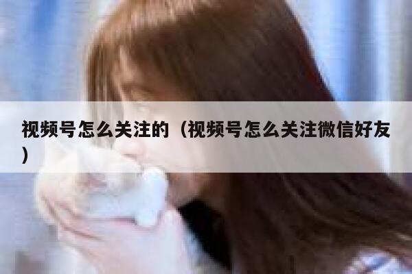视频号怎么关注的（视频号怎么关注微信好友） 第1张