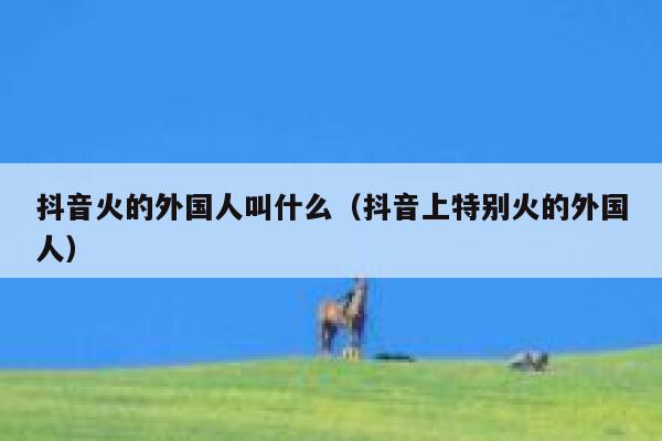 抖音火的外国人叫什么（抖音上特别火的外国人） 第1张
