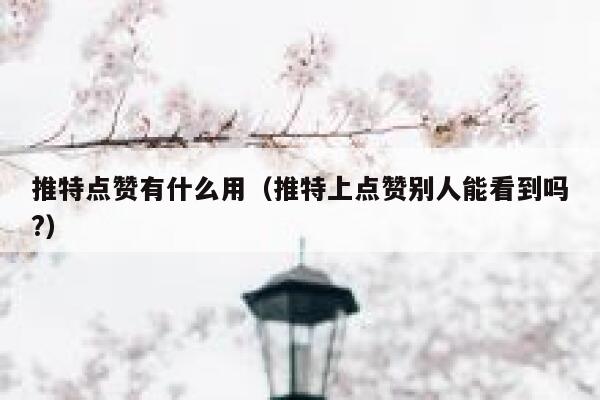 推特点赞有什么用（推特上点赞别人能看到吗?） 第1张