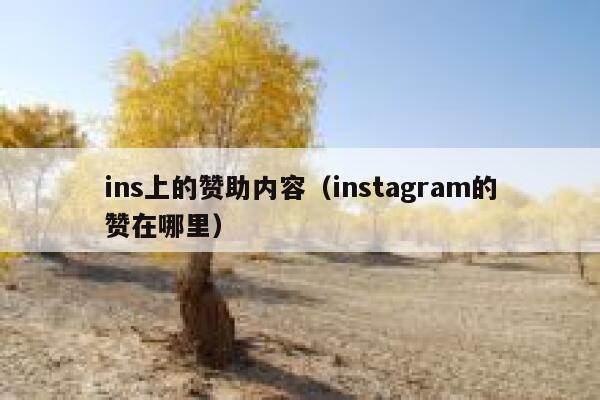 ins上的赞助内容（instagram的赞在哪里） 第1张