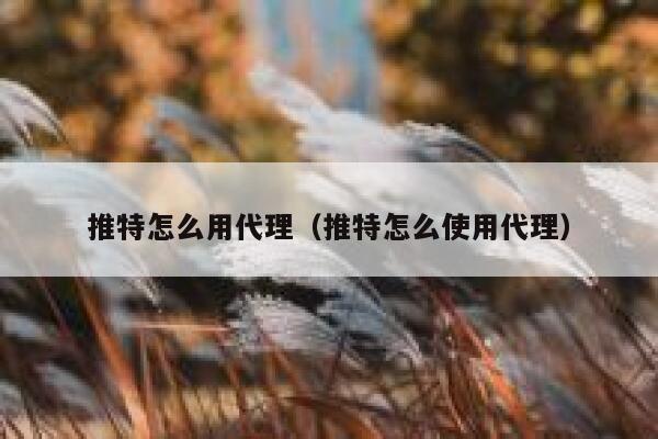 推特怎么用代理（推特怎么使用代理） 第1张