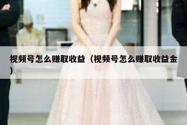 视频号怎么赚取收益（视频号怎么赚取收益金） 第1张