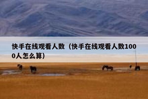 快手在线观看人数（快手在线观看人数1000人怎么算） 第1张