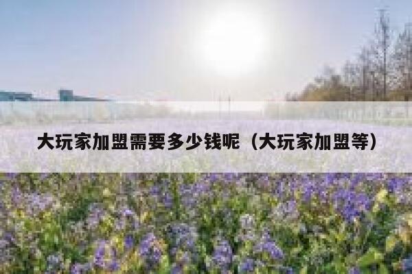 大玩家加盟需要多少钱呢（大玩家加盟等） 第1张
