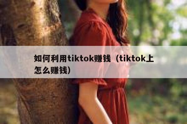 如何利用tiktok赚钱（tiktok上怎么赚钱） 第1张