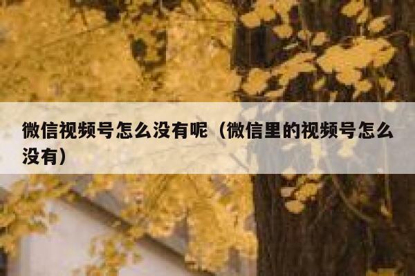 微信视频号怎么没有呢（微信里的视频号怎么没有） 第1张