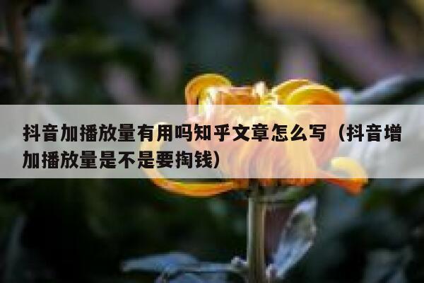抖音加播放量有用吗知乎文章怎么写（抖音增加播放量是不是要掏钱） 第1张