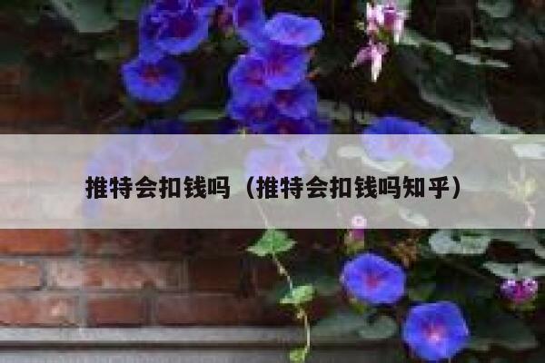 推特会扣钱吗（推特会扣钱吗知乎） 第1张