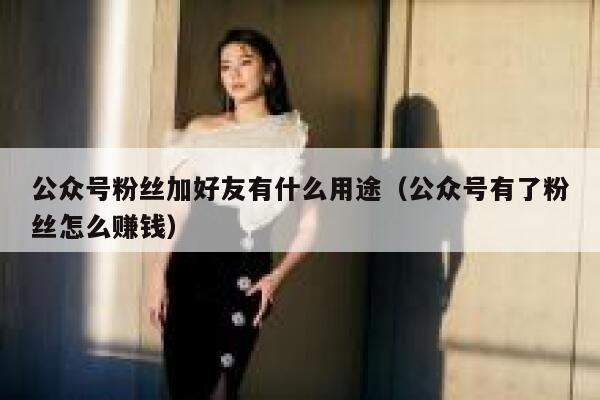 公众号粉丝加好友有什么用途（公众号有了粉丝怎么赚钱） 第1张