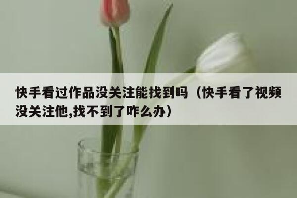 快手看过作品没关注能找到吗（快手看了视频没关注他,找不到了咋么办） 第1张