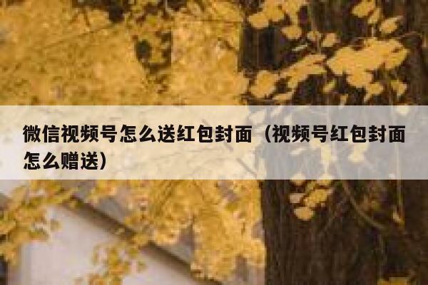 微信视频号怎么送红包封面（视频号红包封面怎么赠送） 第1张