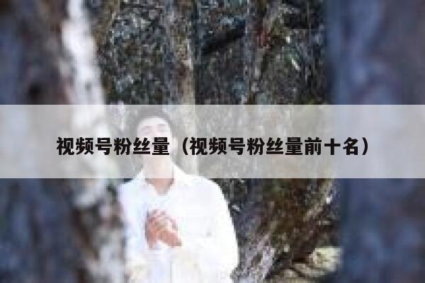 视频号粉丝量（视频号粉丝量前十名） 第1张