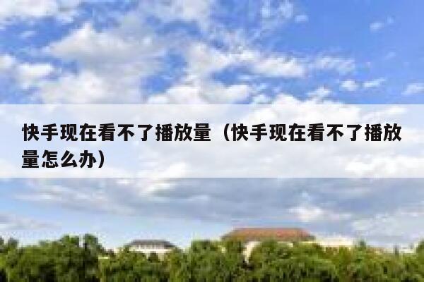 快手现在看不了播放量（快手现在看不了播放量怎么办） 第1张
