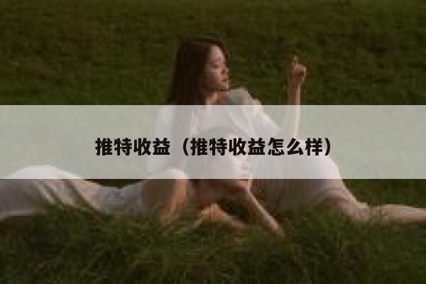 推特收益（推特收益怎么样） 第1张