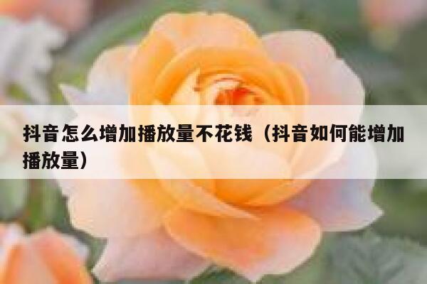 抖音怎么增加播放量不花钱（抖音如何能增加播放量） 第1张