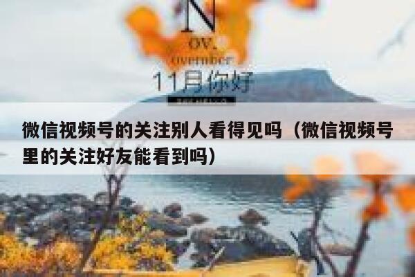 微信视频号的关注别人看得见吗（微信视频号里的关注好友能看到吗） 第1张