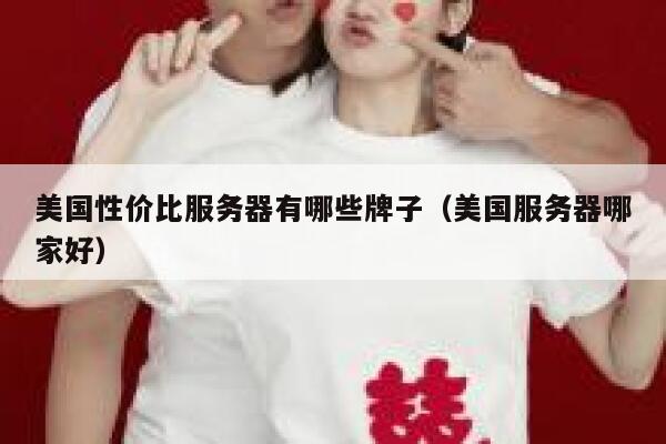 美国性价比服务器有哪些牌子（美国服务器哪家好） 第1张
