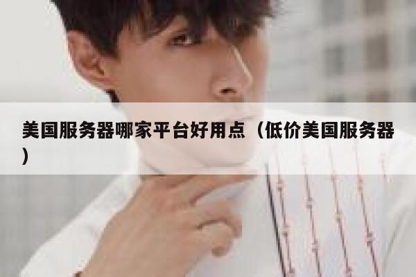 美国服务器哪家平台好用点（低价美国服务器） 第1张