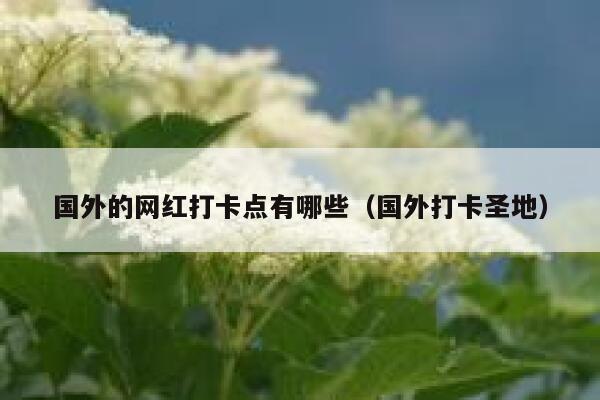 国外的网红打卡点有哪些（国外打卡圣地） 第1张
