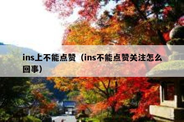 ins上不能点赞（ins不能点赞关注怎么回事） 第1张