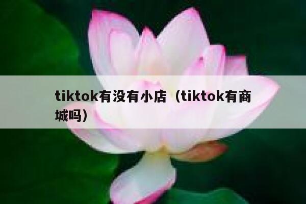 tiktok有没有小店（tiktok有商城吗） 第1张