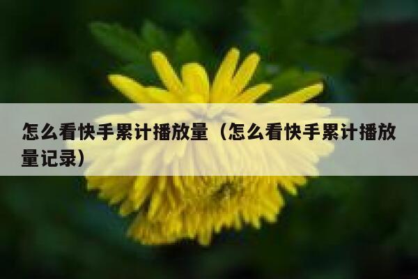 怎么看快手累计播放量（怎么看快手累计播放量记录） 第1张