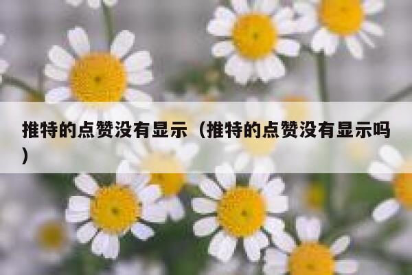 推特的点赞没有显示（推特的点赞没有显示吗） 第1张