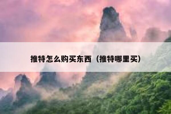 推特怎么购买东西（推特哪里买） 第1张