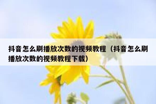 抖音怎么刷播放次数的视频教程（抖音怎么刷播放次数的视频教程下载） 第1张