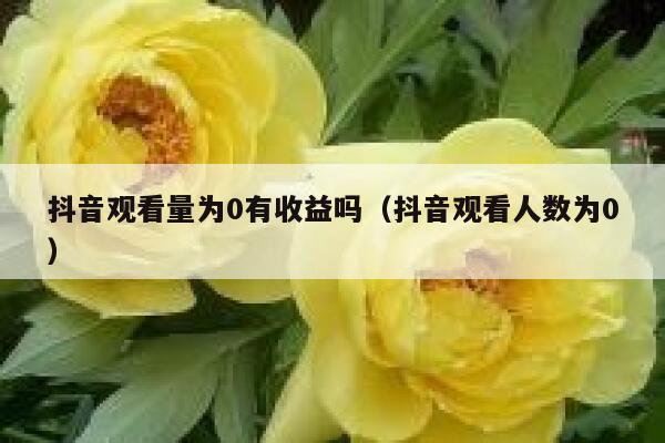 抖音观看量为0有收益吗（抖音观看人数为0） 第1张