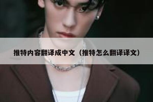 推特内容翻译成中文（推特怎么翻译译文） 第1张