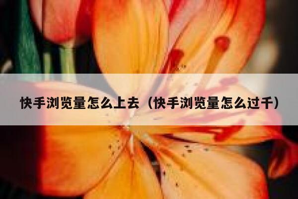 快手浏览量怎么上去（快手浏览量怎么过千） 第1张