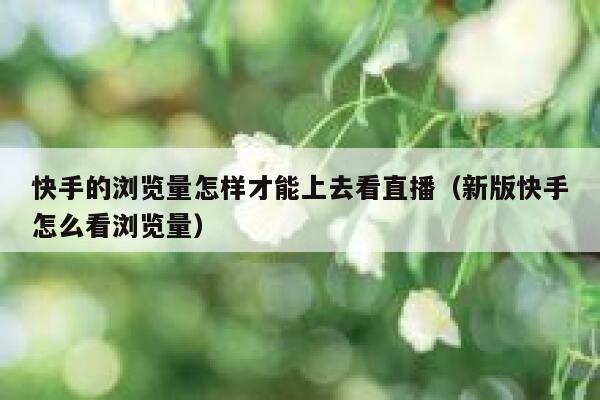 快手的浏览量怎样才能上去看直播（新版快手怎么看浏览量） 第1张