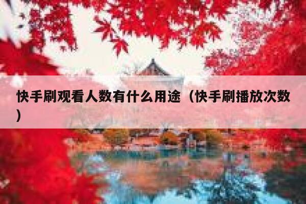快手刷观看人数有什么用途（快手刷播放次数） 第1张