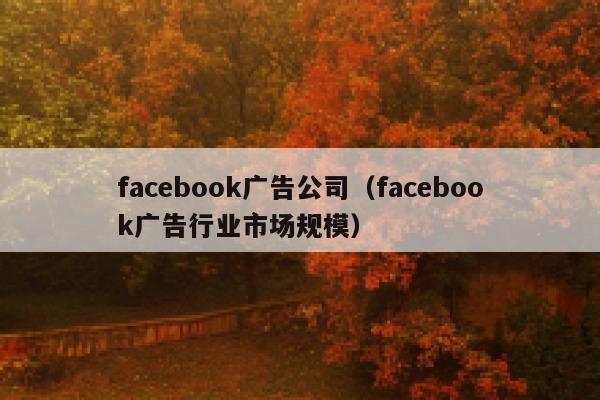 facebook广告公司（facebook广告行业市场规模） 第1张