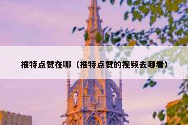 推特点赞在哪（推特点赞的视频去哪看） 第1张