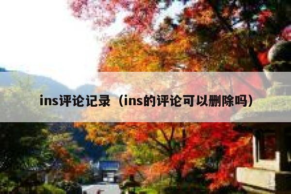 ins评论记录（ins的评论可以删除吗） 第1张