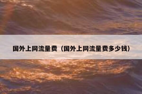 国外上网流量费（国外上网流量费多少钱） 第1张