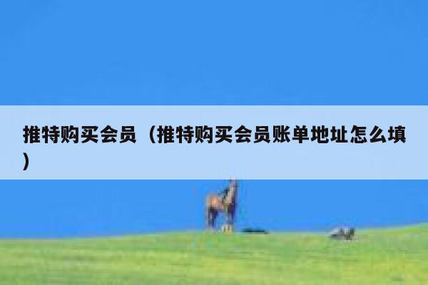 推特购买会员（推特购买会员账单地址怎么填） 第1张