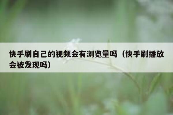 快手刷自己的视频会有浏览量吗（快手刷播放会被发现吗） 第1张