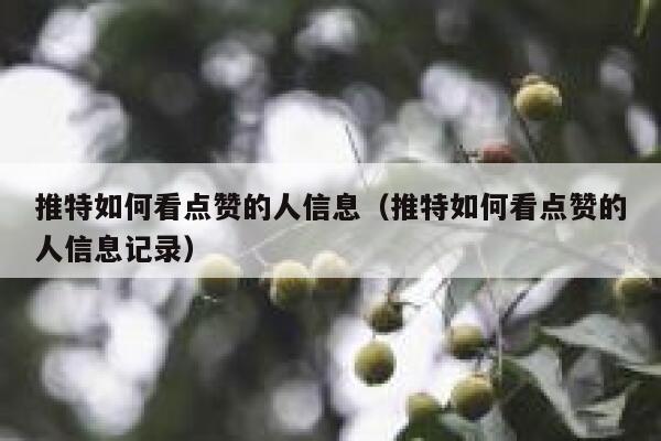 推特如何看点赞的人信息（推特如何看点赞的人信息记录） 第1张