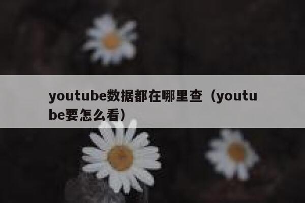 youtube数据都在哪里查（youtube要怎么看） 第1张