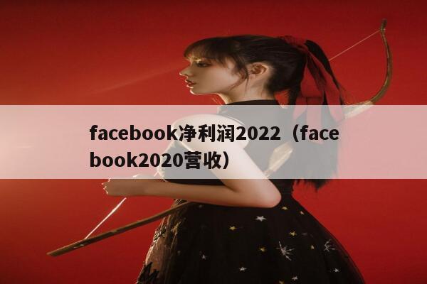 facebook净利润2022（facebook2020营收） 第1张