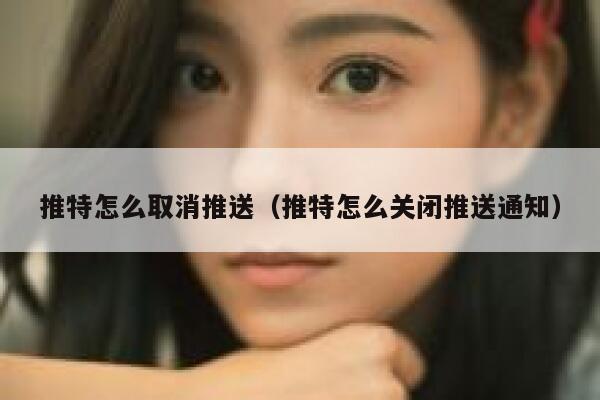 推特怎么取消推送（推特怎么关闭推送通知） 第1张